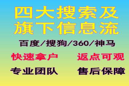 成功案例解析：SEO与SEM协同营销策略